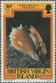 Strombus pugilis, author: Collection VLIZ