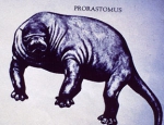 Prorastomus, artist rendition based on skeletal morphology