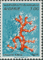 Corallium rubrum, author: Collection VLIZ