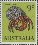 Decapoda