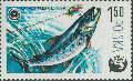Salmoniformes