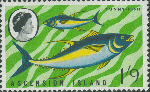 Thunnus sp.