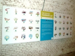 Schelde combinatiespel