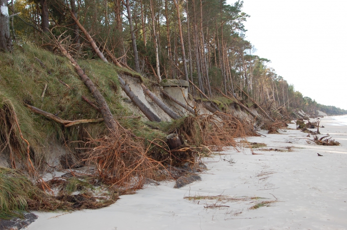 Coastal Erosion Gulf of Gdansk