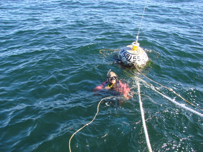 Wave measurements in the Gulf of Gdansk