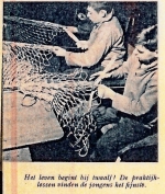 Fisheries education