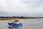 Fisheries & Agriculture