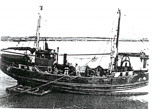 P.4 op kuisbank Nieuwpoort