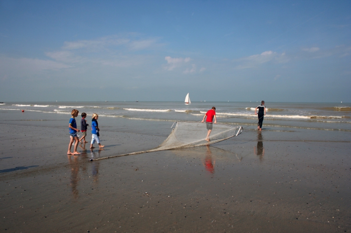 Shrimping - Pêche à la crevette - Garnaal kruien