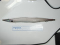 Aulopiformes