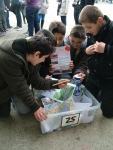 havencentrum lillo4