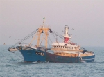 Zeebrugge
