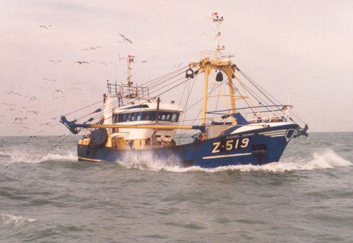 Z.519 Rachel Sarah (Bouwjaar 1993)