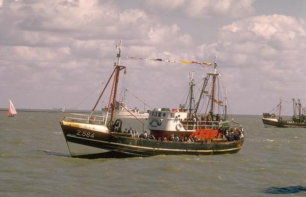 Z.564 Poolster (Bouwjaar 1963)