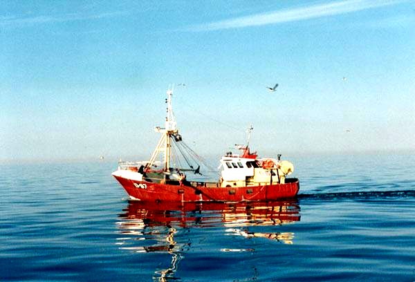 O.87 Nele (Bouwjaar 1987)