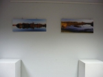 scheldefoto's lebbeke