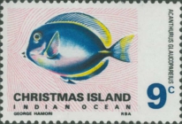 Acanthurus glaucopareius