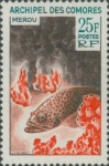 Perciformes