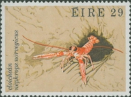 Nephrops norvegicus