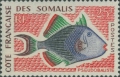 Tetraodontiformes