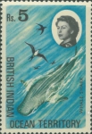 Elasmobranchii
