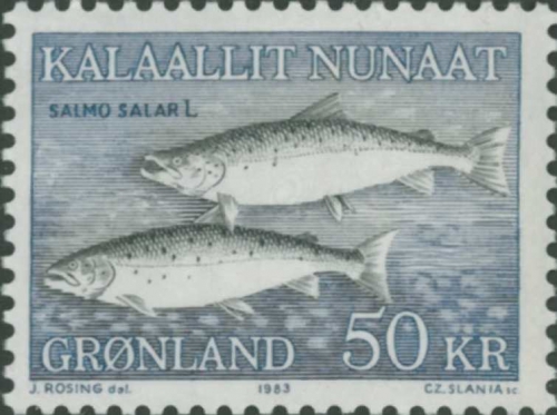 Salmo salar Salmo salar
