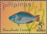 Scarus frenatus, author: Collection VLIZ