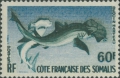 Carcharhiniformes