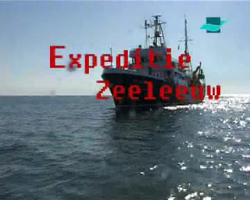 VIDEO: Expeditie Zeeleeuw