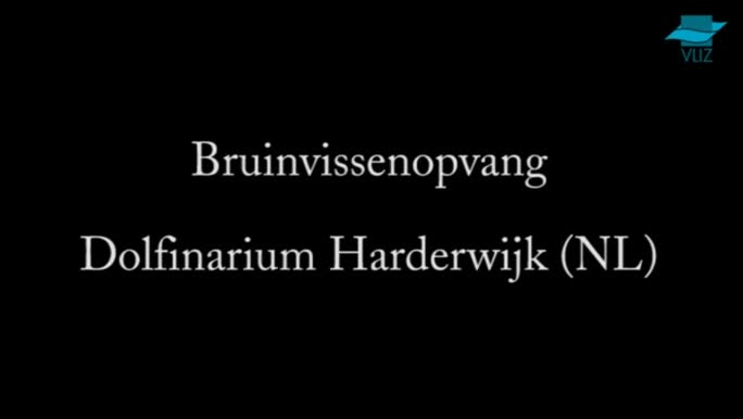 VIDEO: Bruinvissenopvang Dolfinarium Harderwijk (Nederland)
