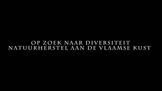 Activiteiten aan de kust