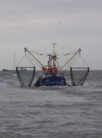 Nieuwpoort
