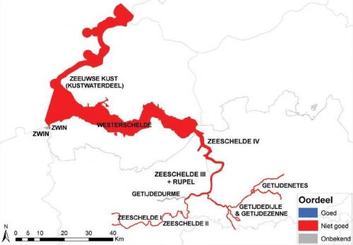 Chemische toestand van de oppervlaktewaterlichamen in het Schelde-estuarium.