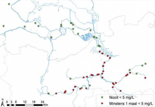 Meetpunten in het Schelde-estuarium waarvan de zuurstofconcentratie nooit (groen) of minstens 1 maal (rood) onder de 5 mg/L komt (situatie 2008). Meetpunten in het Schelde-estuarium waarvan de zuurstofconcentratie nooit (groen) of minstens 1 maal (rood) onder de 5 mg/L komt (situatie 2008).
