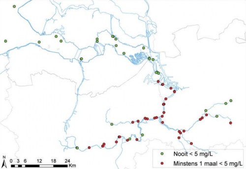 Meetpunten in het Schelde-estuarium waarvan de zuurstofconcentratie nooit (groen) of minstens 1 maal (rood) onder de 5 mg/L komt (situatie 2008).