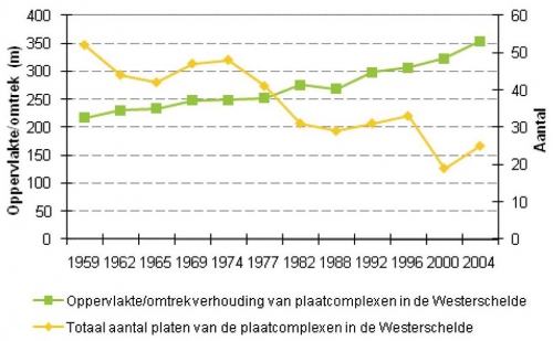 Ontwikkeling in het totaal aantal platen van de plaatcomplexen in de Westerschelde en de oppervlakte/omtrek verhouding van alle plaatcomplexen in de Westerschelde samen.