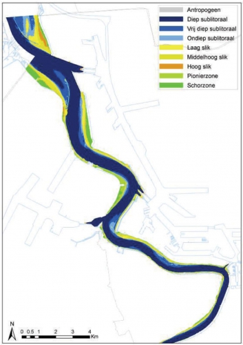 Ecotopenkaart Zeeschelde (gebied Haven van Antwerpen, 2004).