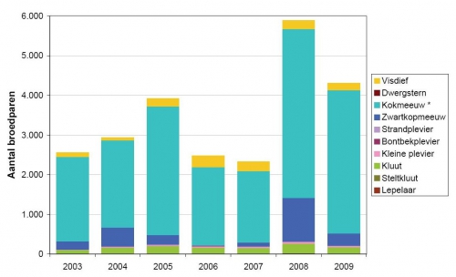 Aantal broedparen van kustbroedvogels in de Zeeschelde (Linkerscheldeoevergebied, 2003 - 2009).