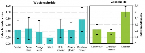 Gemiddeld broedsucces (en standaardafwijking) van kustbroedvogels in links: Westerschelde en rechts: Zeeschelde.