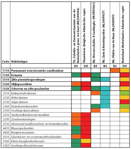 Beschermingsstatus (BS) van de bijlage I-habitats van de Habitatrichtlijn, per Habitatrichtlijngebied van het Schelde-estuarium en staat van instandhouding (SVI) van diezelfde habitats op biogeografisch niveau.