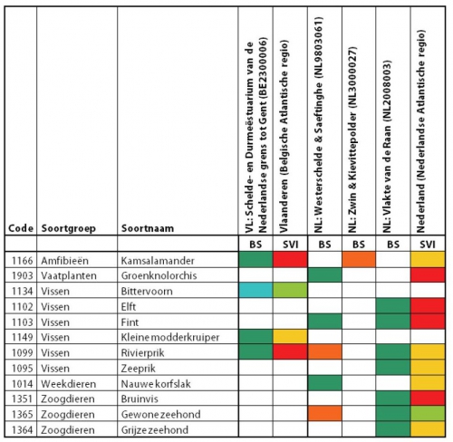 Beschermingsstatus (BS) van de bijlage II-soorten van de Habitatrichtlijn, per Habitatrichtlijngebied van het Schelde-estuarium en staat van instandhouding (SVI) van diezelfde soorten op biogeografisch niveau.