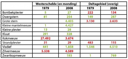 Aantal broedparen van kustbroedvogels in de Westerschelde (inclusief monding) en voor de relevante soorten ook voor het Deltagebied in 1979 en 2008.