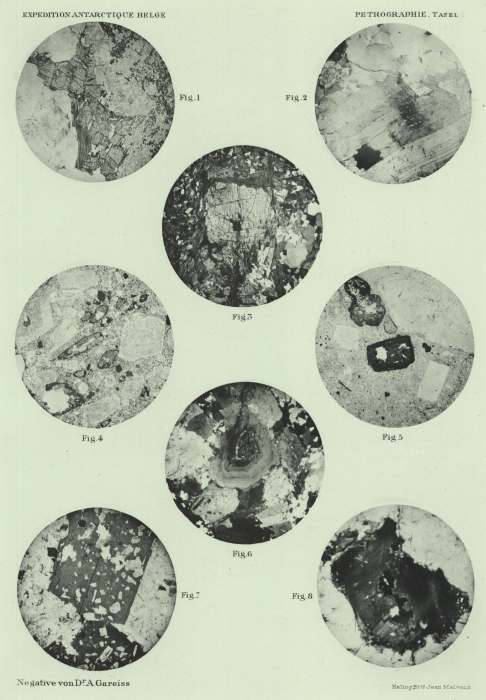 Sistek (1912, pl. 1) Sistek (1912, pl. 1)