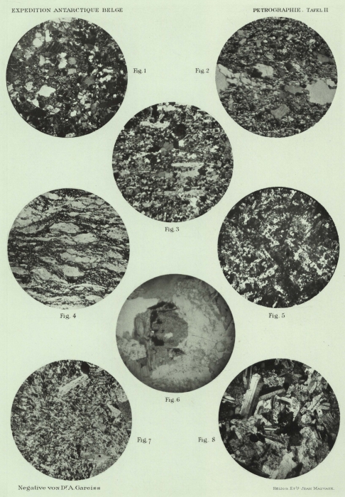 Pelikan (1909, pl. 2) Pelikan (1909, pl. 2)