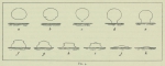 Arctowski, H. (1902). Météorologie: Phénomènes optiques de l'atmosphère. Journal des observations de météorologie optique faites à bord de la Belgica. Résultats du Voyage du S.Y. Belgica en 1897-1898-1899 sous le commandement de A.