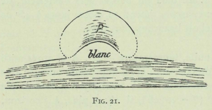 Arctowski (1902, fig. 21)