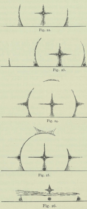 Arctowski (1902, fig. 22-26)