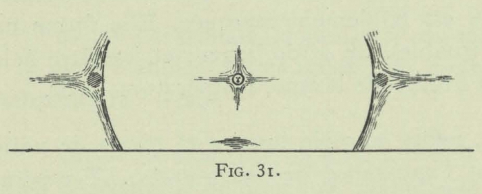 Arctowski (1902, fig. 31)