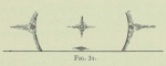 Groenland 1907