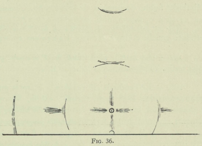 Arctowski (1902, fig. 36)